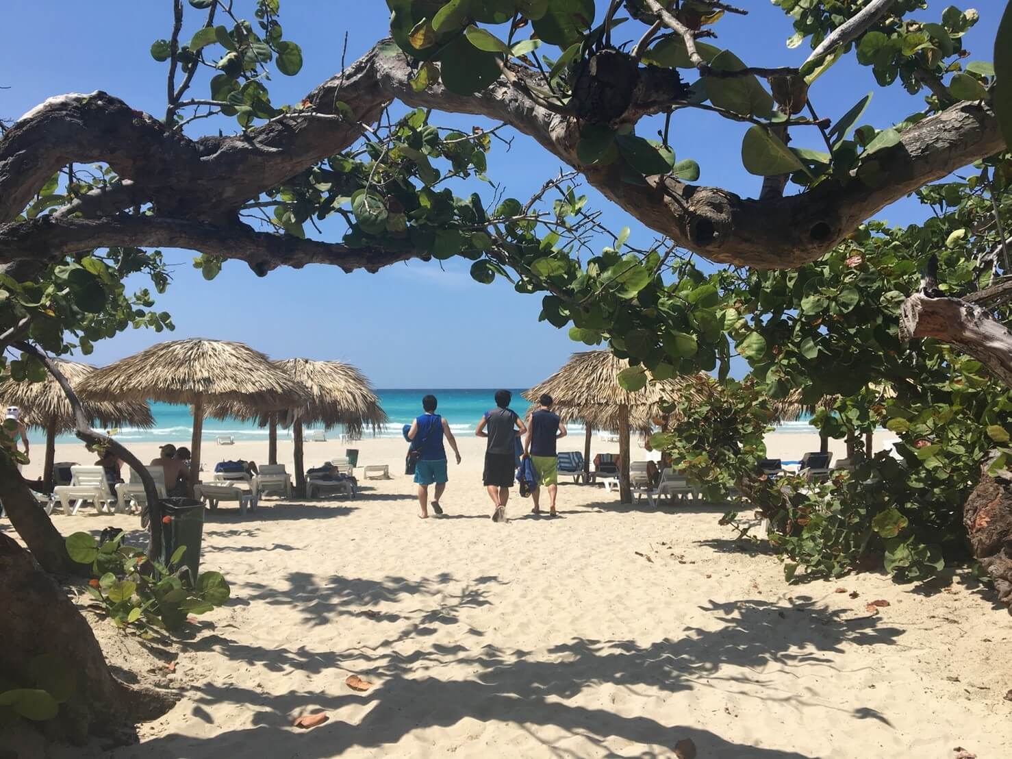 【オススメ・キューバ】ハバナからバラデロのホテルとプライベートビーチへ